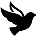 PitchFi